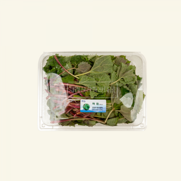 산엔청쇼핑몰,산청장희딸기 350g,500g _우리농원