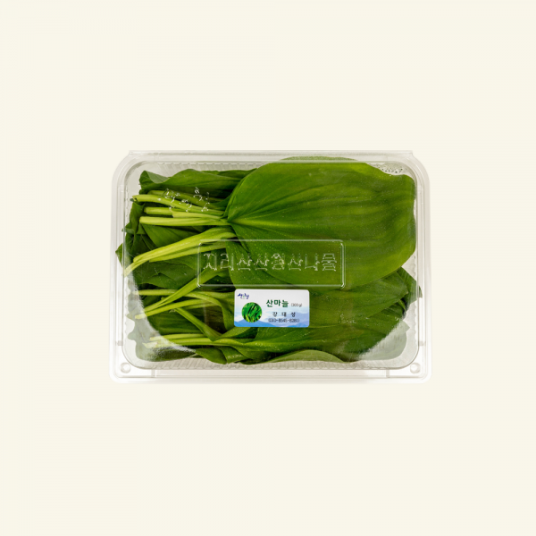 산엔청쇼핑몰,산청장희딸기 350g,500g _우리농원