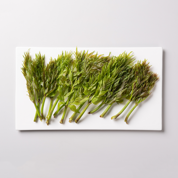 산엔청쇼핑몰,산청장희딸기 350g,500g _우리농원