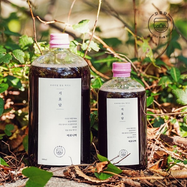 [여름할인!] 지효담 아로니아 발효 액기스 1000ml _지효담