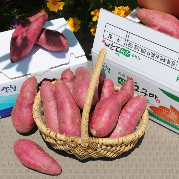 지리산 꿀고구마 2.5kg/5kg _㈜누리