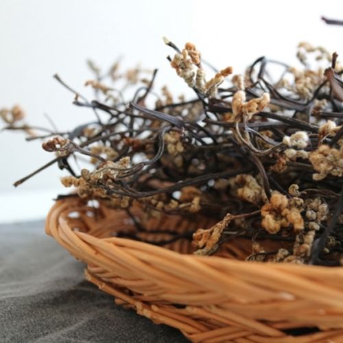 산엔청쇼핑몰,산청장희딸기 350g,500g _우리농원